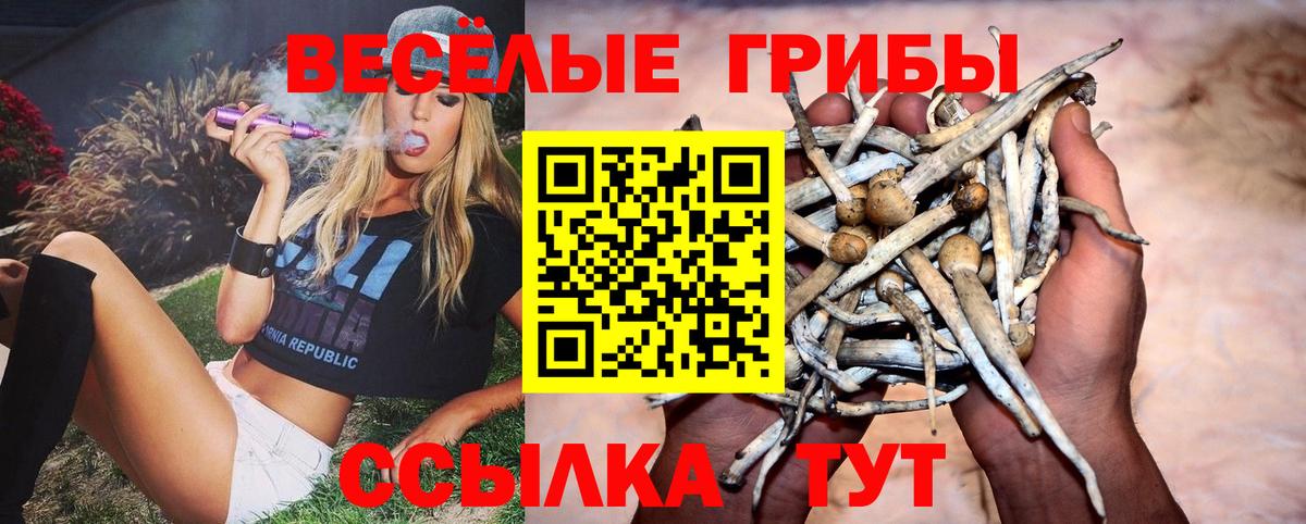 Орехово-Зуево  Псилоцибиновые грибы прущие грибы  Псилоцибиновые грибы прущие грибы  Вход с VPN 